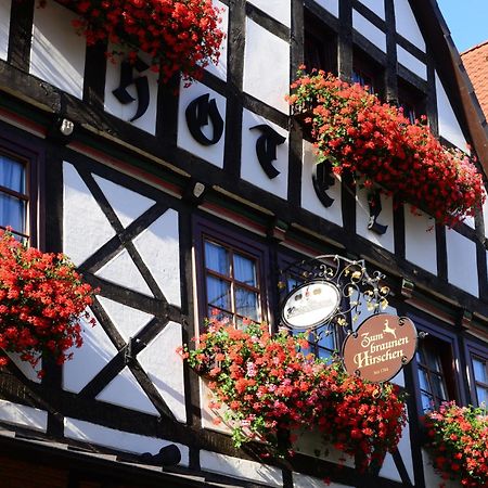 Hotel Zum Braunen Hirschen Bad Driburg Eksteriør billede