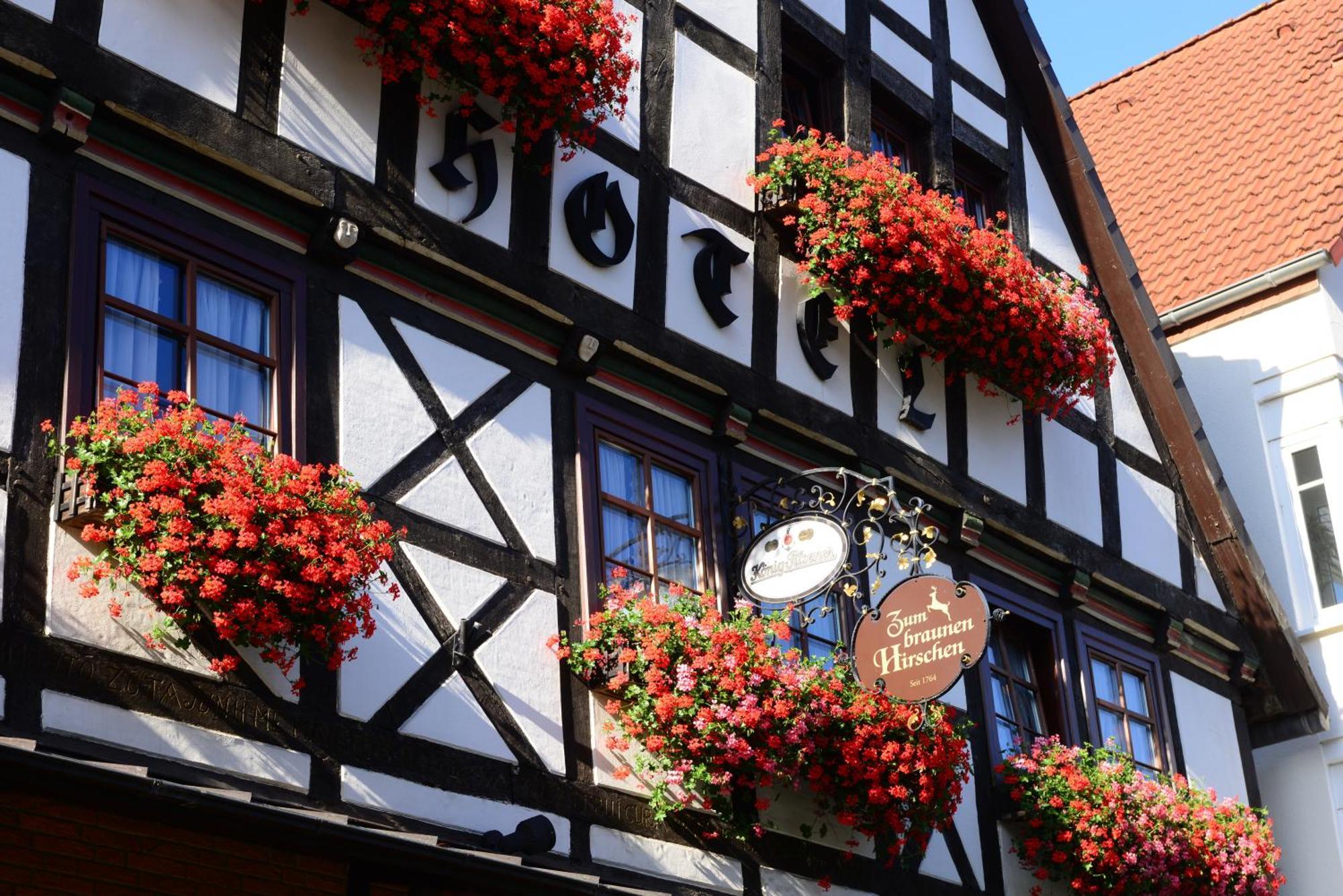 Hotel Zum Braunen Hirschen Bad Driburg Eksteriør billede